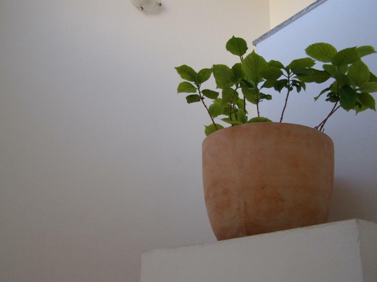 Charming Apartments In Pula Ngoại thất bức ảnh